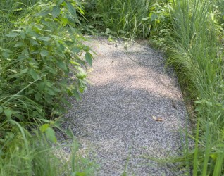 Prostokątny, zaokrąglony nagrobek otoczony zarośniętą trawą i roślinami. Brak tablicy inskrypcyjnej.