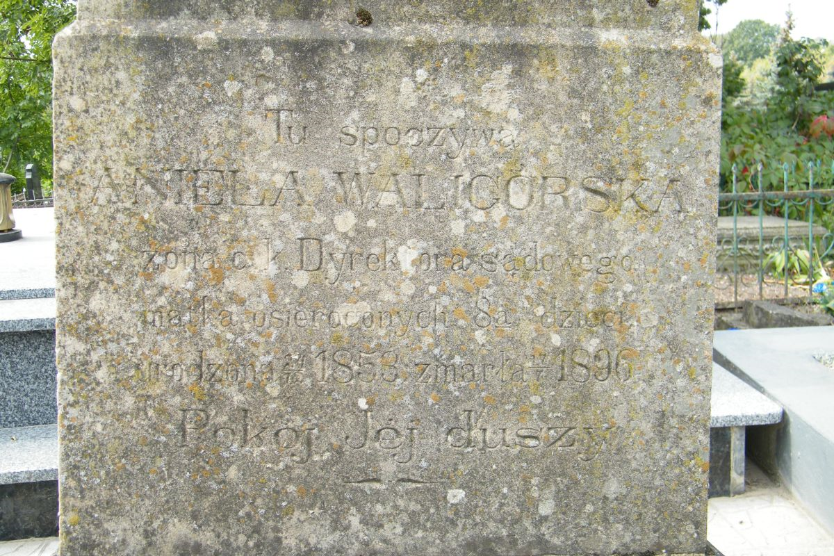 Inskrypcja na nagrobku Anieli Waligórskiej, cmentarz w Tarnopolu, stan z 2016