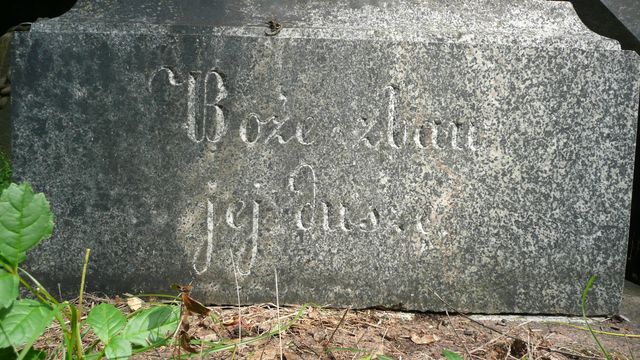Fragment of Krystyna Rokicka's gravestone from the Ross Cemetery in Vilnius, as of 2013.