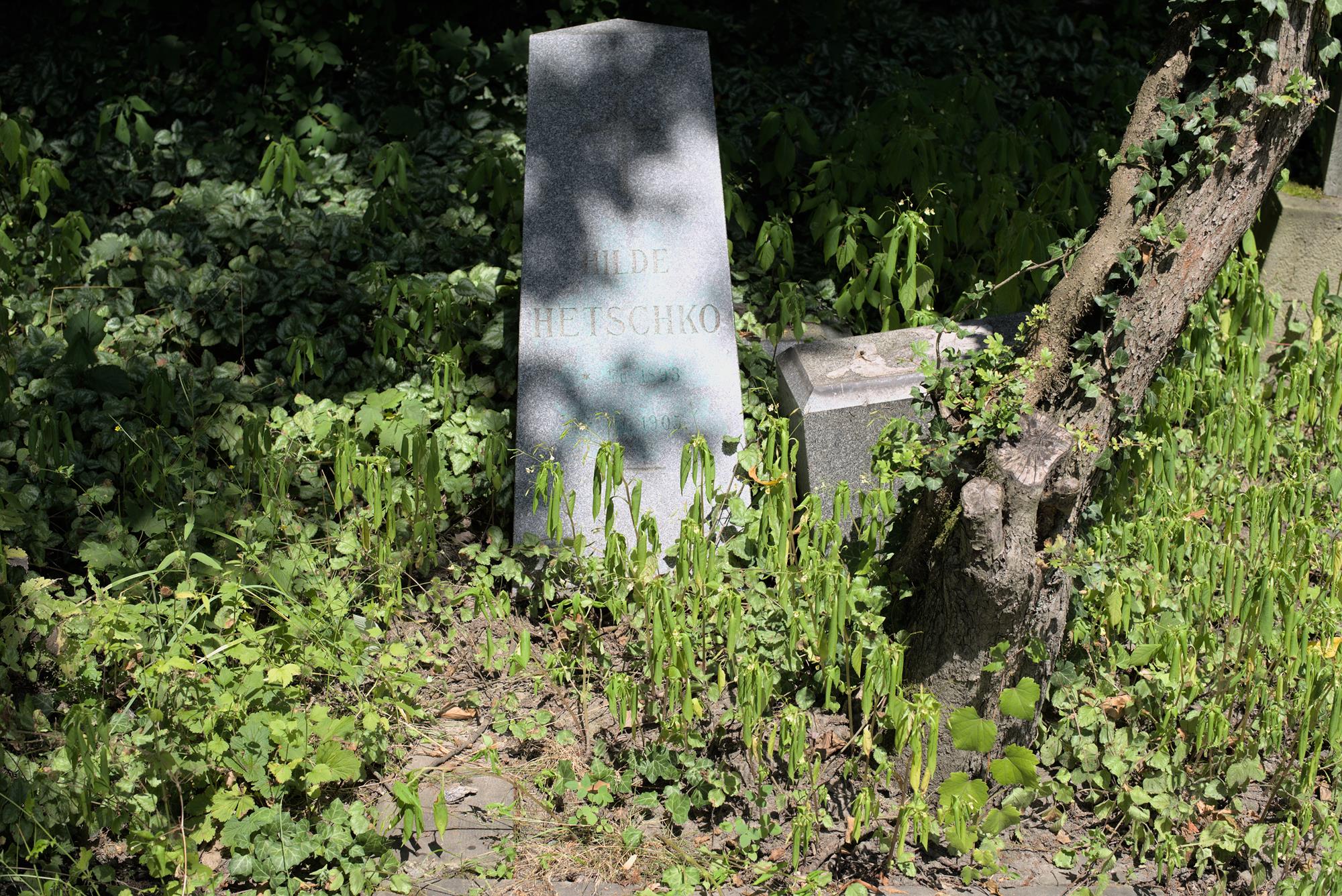 Fotografia przedstawiająca Gravestone of Hilde Hetschko