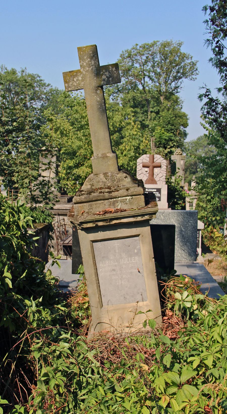 Nagrobek Albiny Müller, cmentarz w Tarnopolu, stan z 2016
