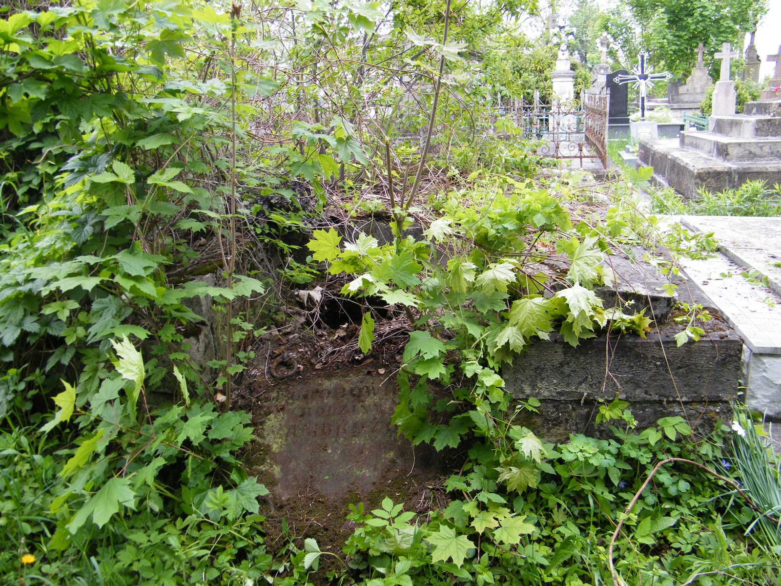 Grobowiec rodziny Ambrozow, cmentarz w Tarnopolu, stan z 2016 r.