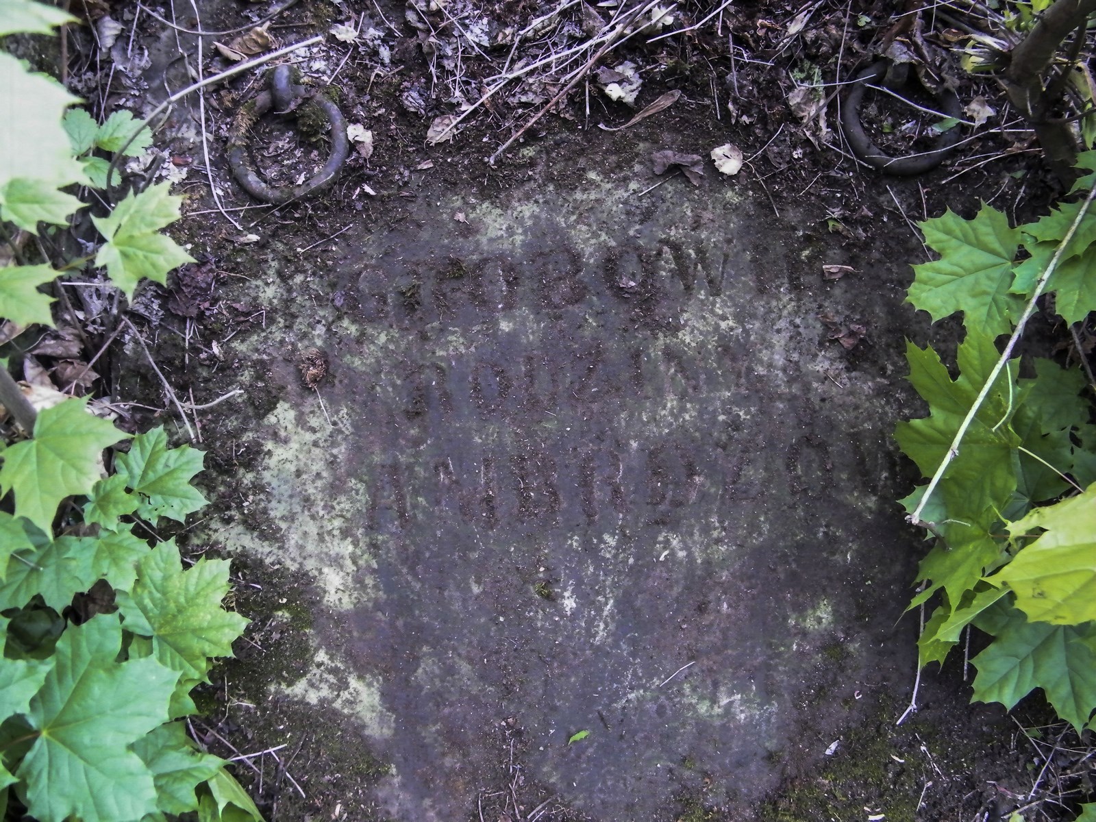 Inskrypcja z grobowca rodziny Ambrozow, cmentarz w Tarnopolu, stan z 2016 r.