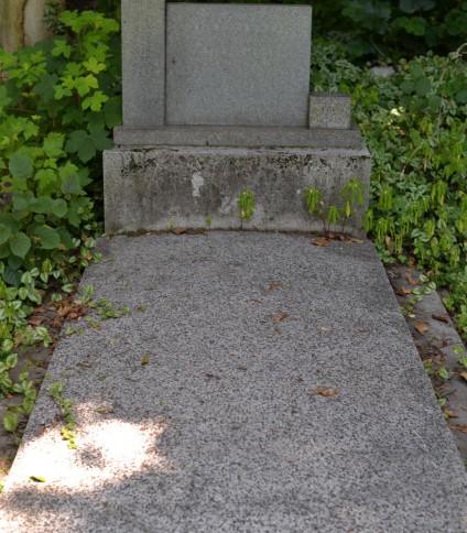 Nagrobek Anny Niemcowej i Jana Niemca z stelą na dwustopniowym cokole. Stela flankowana polerowanymi postumentami, lewy wyższy od prawego. Inskrypcje wyryte na polerowanym licu steli.