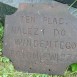 Fotografia przedstawiająca Tombstone of Emilia and Vincent Poloniewicz