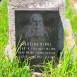 Photo montrant Minol family tombstone