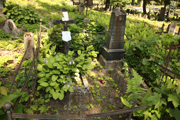 Nagrobek rodziny Janczewskich, cmentarz na Rossie w Wilnie, stan na 2013 r.