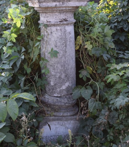 Nagrobek Feliksa Puszyńskiego, cmentarz w Tarnopolu, stan z 2016