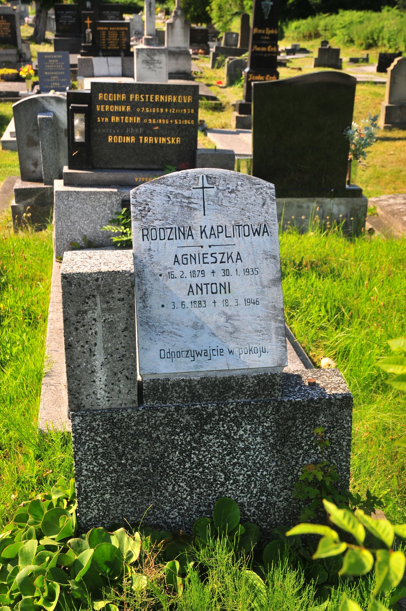 Tombstone of Agnes and Antoni Kaplit, Karviná Doły cemetery, state 2022