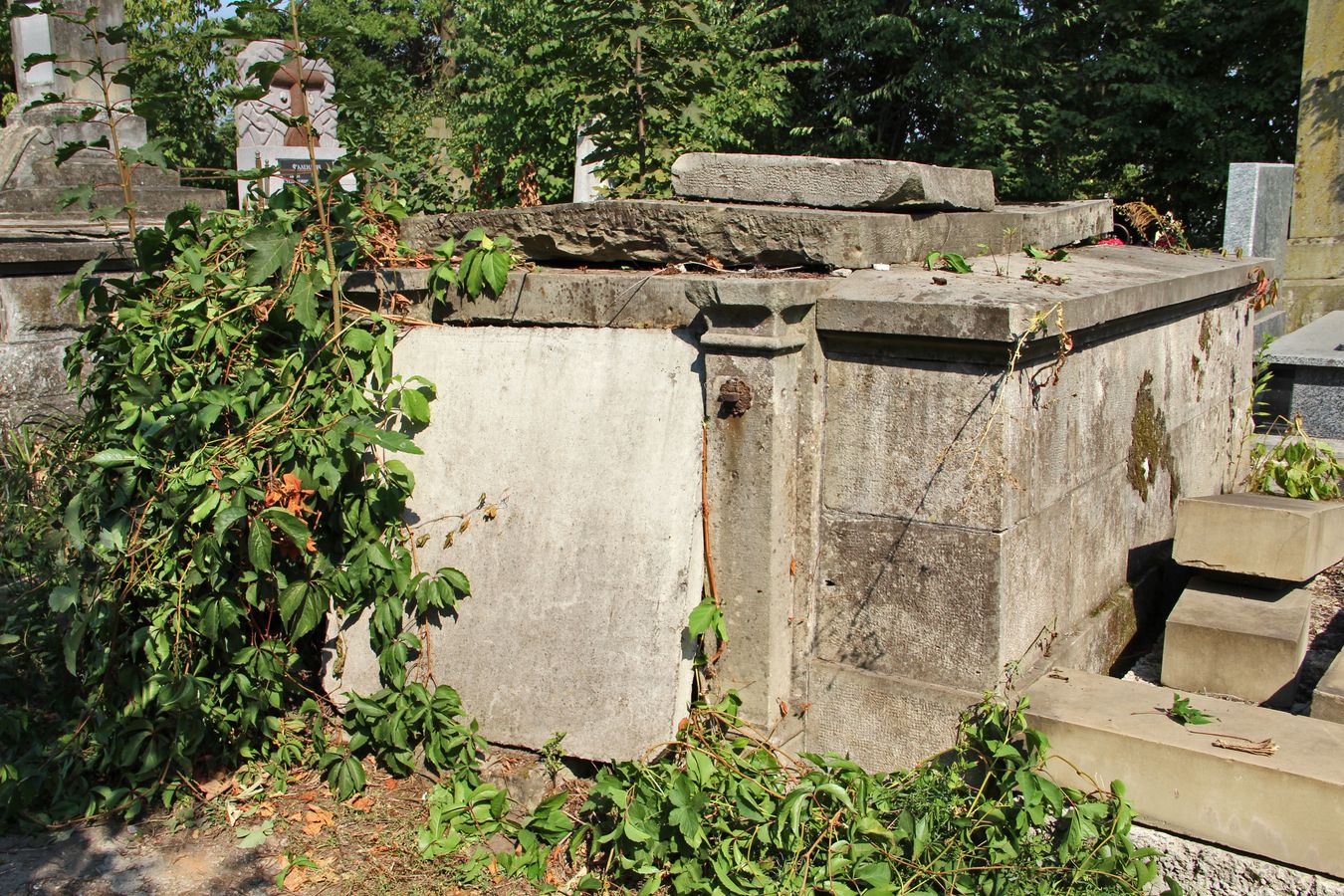 Grobowiec rodziny Kruszelnickich, cmentarz w Tarnopolu, stan z 2016