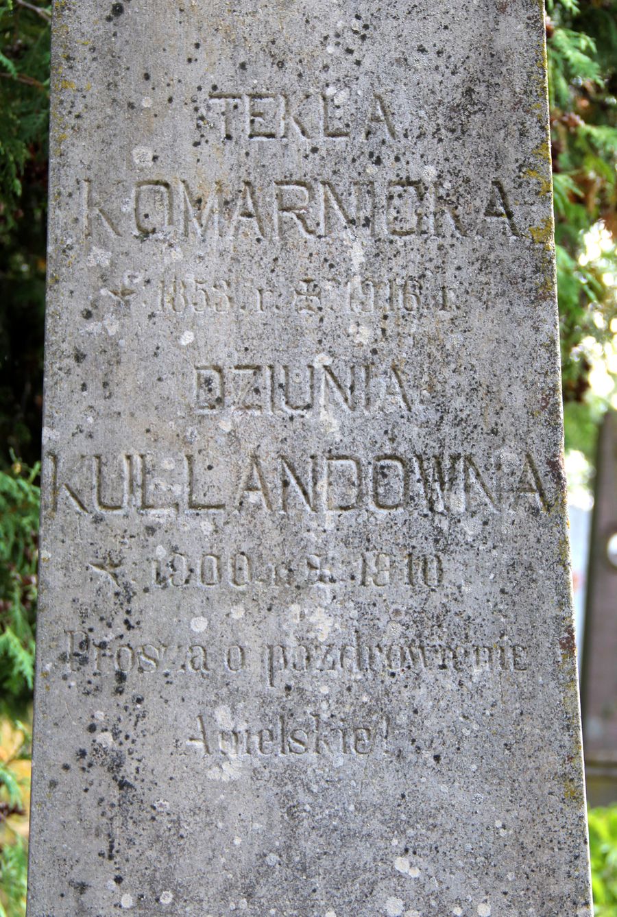 Fragment nagrobka Tekli Komarnickiej i Dziuni Kullandy, cmentarz w Tarnopolu, stan z 2016