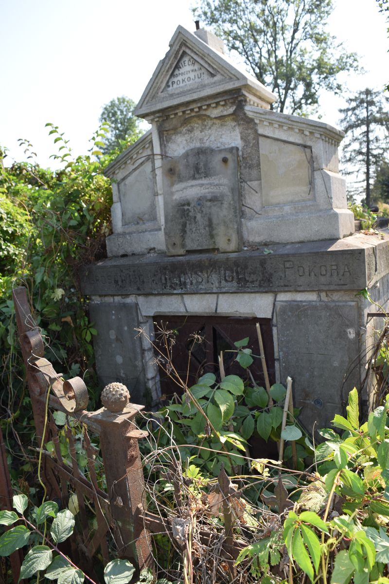 Tomb of the Kulinski and Schenkirzyk families, Ternopil cemetery, state of 2016