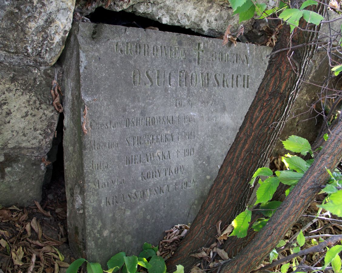 Fragment grobowca rodziny Osuchowskich, cmentarz w Tarnopolu, stan z 2016