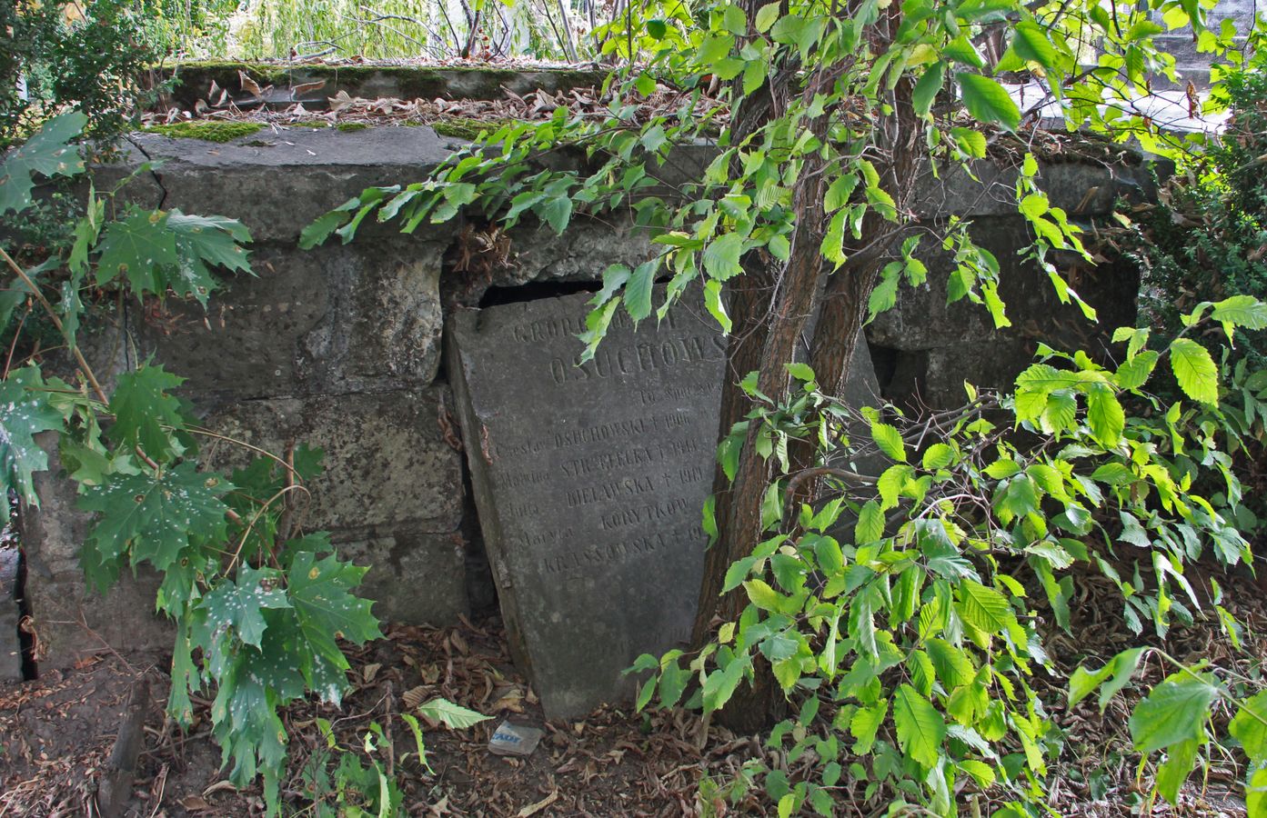 Grobowiec rodziny Osuchowskich, cmentarz w Tarnopolu, stan z 2016