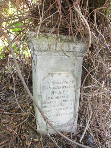 Nagrobek Franciszka Neubera, cmentarz w Tarnopolu, stan z 2016 roku