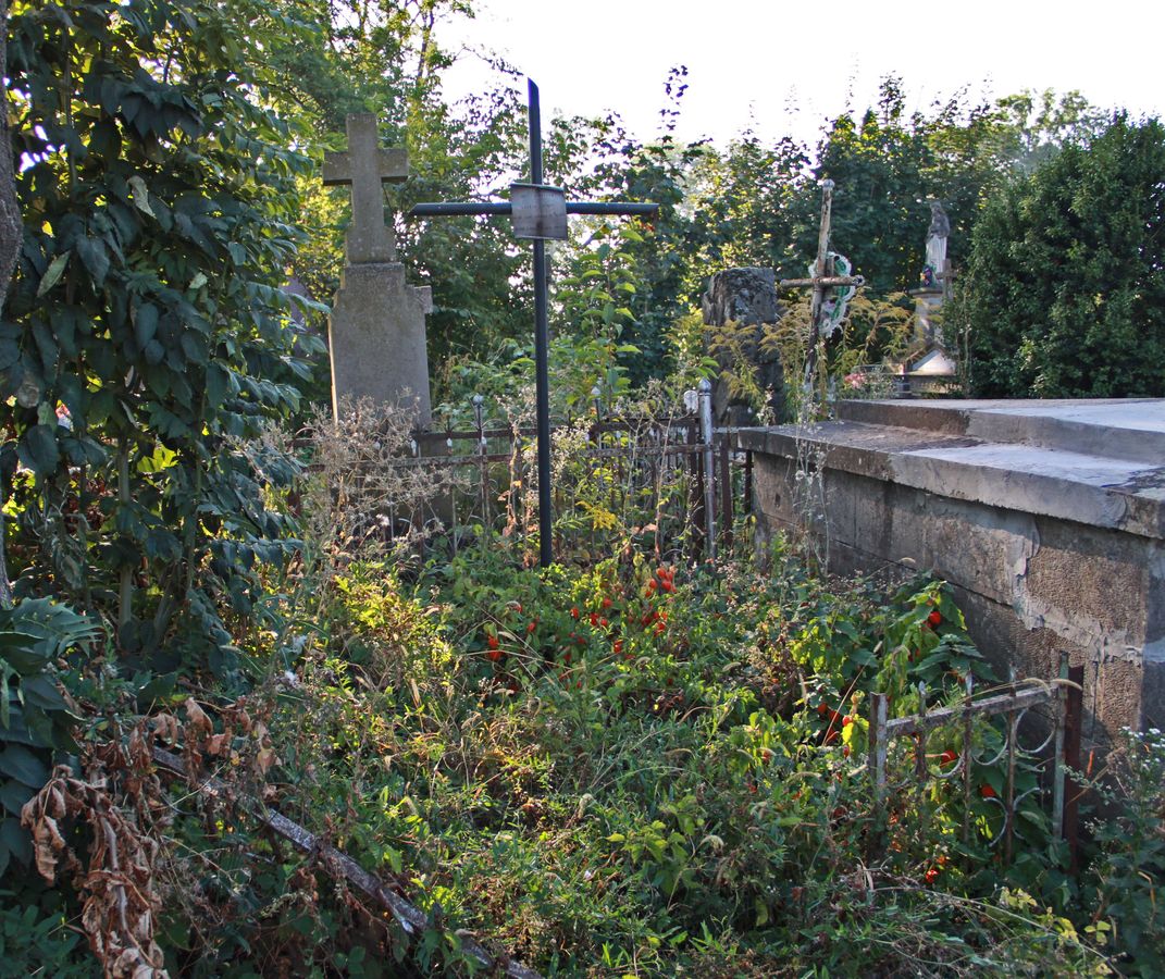 Nagrobek Ludwika Tichego, cmentarz w Tarnopolu, stan z 2016