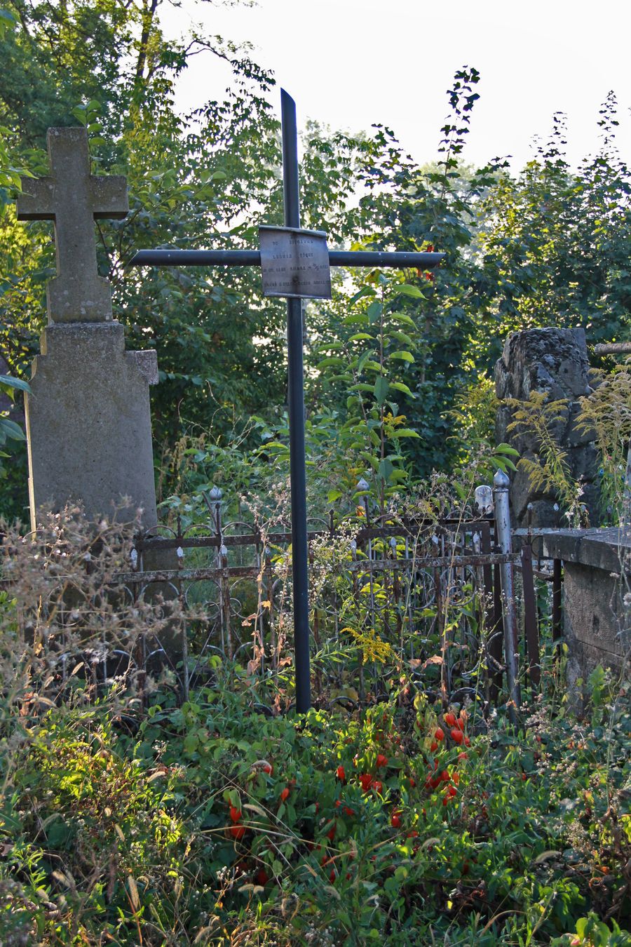 Nagrobek Ludwika Tichego, cmentarz w Tarnopolu, stan z 2016