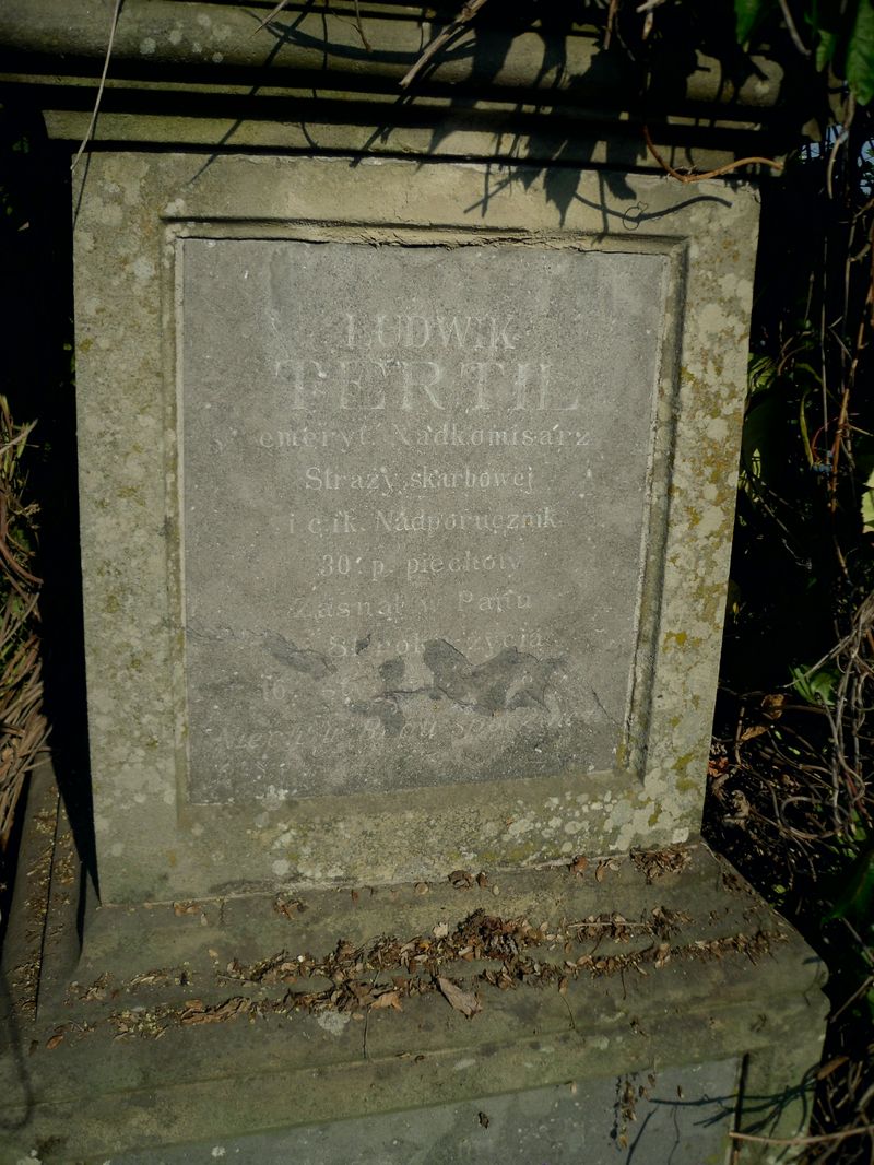 Fragment grobowca Ludwika i Marii Tertil, cmentarz w Tarnopolu, stan z 2016 r.