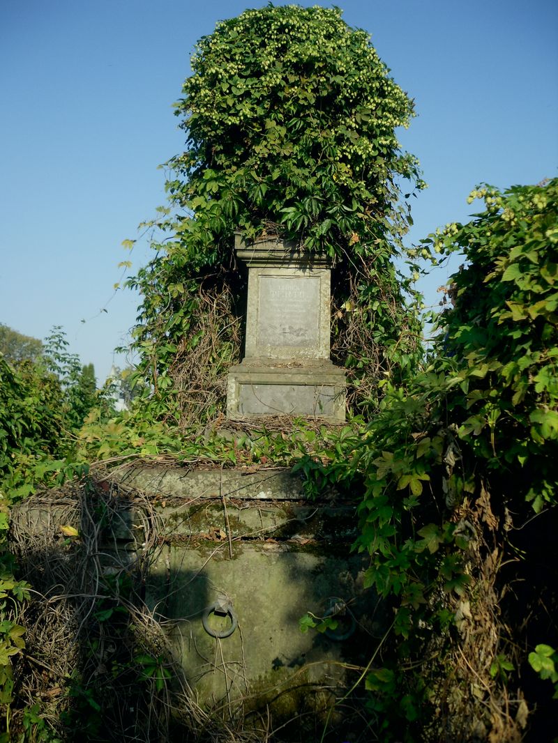 Grobowiec Ludwika i Marii Tertil, cmentarz w Tarnopolu, stan z 2016 r.