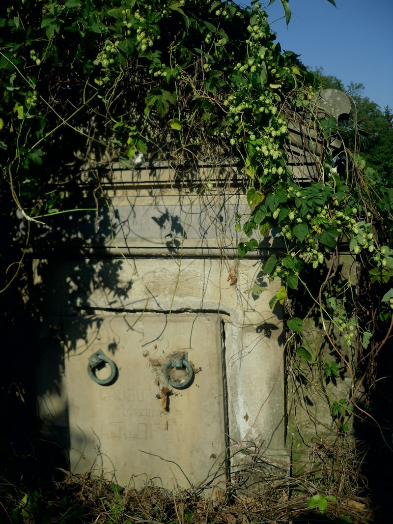 Grobowiec Artura Adlofa,  cmentarz w Tarnopolu, stan z 2016 r.
