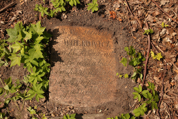 Tombstone of Marya Volkovich, Ross cemetery in Vilnius, as of 2013.