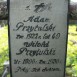 Fotografia przedstawiająca Tombstone of Adam and Witold Przytulski