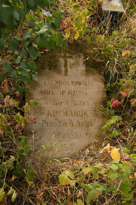 Nagrobek Anny i Józefa Kucharuków, cmentarz w Tarnopolu, stan z 2016