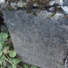 Fotografia przedstawiająca Tombstone of Jadwiga Solska