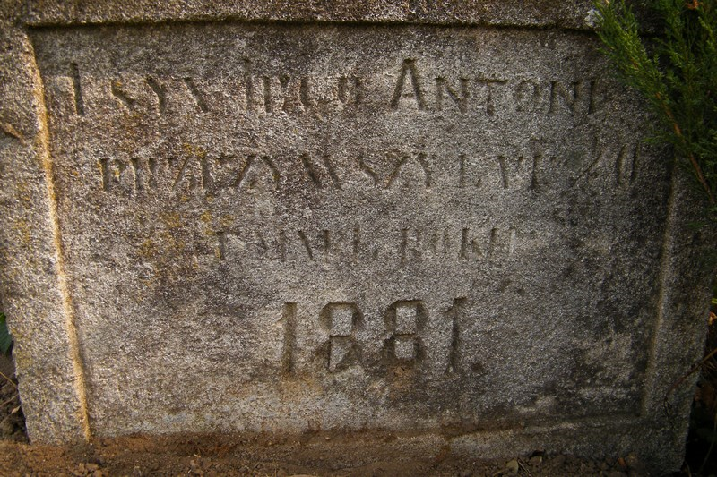 Inskrypcja na nagrobku Józef Szota i Antoniego N.N., cmentarz w Tarnopolu, stan z 2016