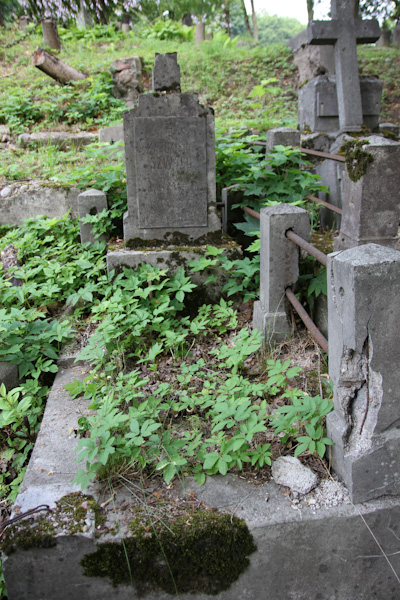 Nagrobek Kazimiery Szwabo, cmentarz na Rossie w Wilnie, stan na 2013 r.