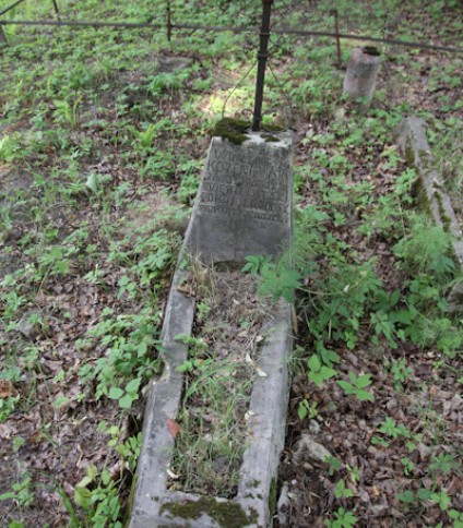 Nagrobek Wincentego Kozeniowskiego, cmentarz na Rossie w Wilnie, stan na 2013 r.