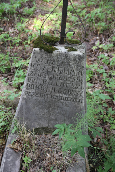 Nagrobek Wincentego Kozeniowskiego, cmentarz na Rossie w Wilnie, stan na 2013 r.