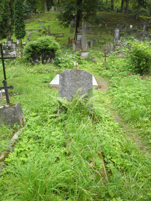 Nagrobek Jakuba Malinowskiego, cmentarz na Rossie w Wilnie, stan na 2013 r.