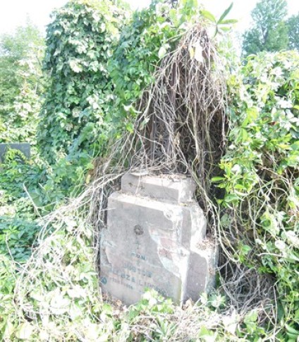 Nagrobek Alozji Lipy z cmentarzy dawnego powiatu tarnopolskiego, stan z 2016 r.