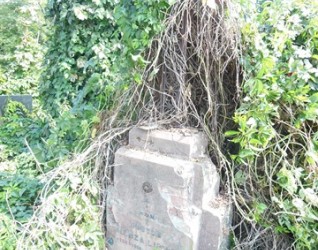 Nagrobek Alozji Lipy z cmentarzy dawnego powiatu tarnopolskiego, stan z 2016 r.