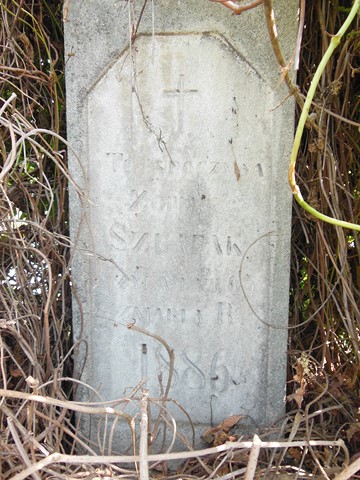 Fragment of a gravestone of Zofia Szałapak from the cemeteries of the former Ternopil district, as of 2016.