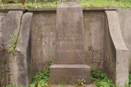 Nagrobek Malwiny Sipayłło, cmentarz Na Rossie w Wilnie, stan z 2013