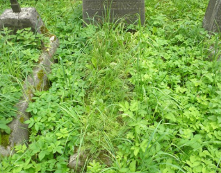 Nagrobek Jana Pobiedzińskiego, cmentarz na Rossie w Wilnie, stan na 2013 r.