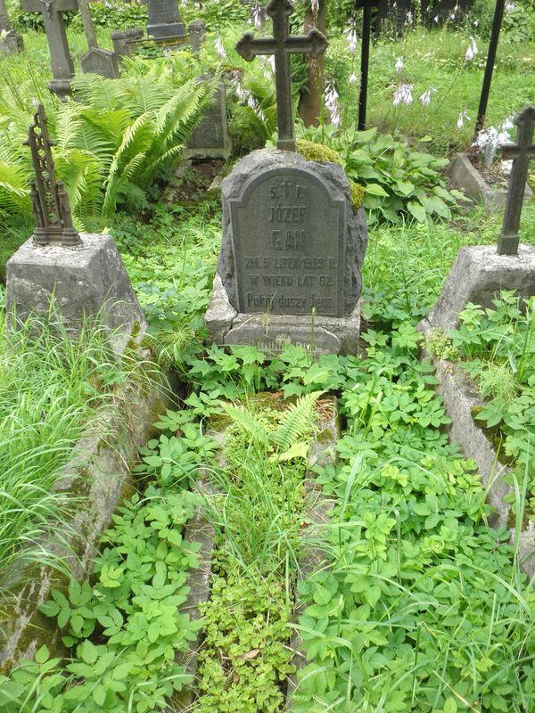 Nagrobek Janiny i Józefa Gan, cmentarz na Rossie w Wilnie, stan na 2013 r.