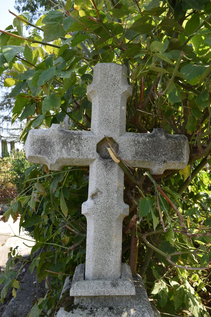 Nagrobek Alfredy Wengela, cmentarz w Tarnopolu, stan z 2016