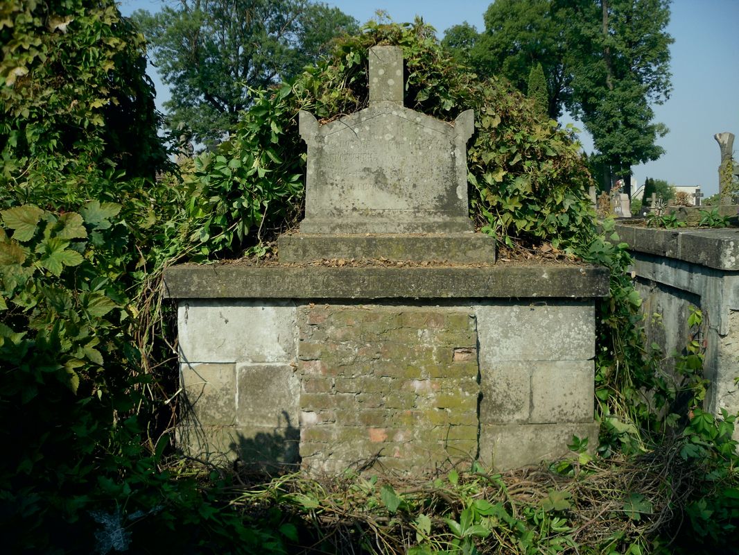 Grobowiec Felixa Brożyny, cmentarz w Tarnopolu, stan z 2016 r.