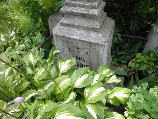 Tombstone of Anna Bobnis, Ross cemetery in Vilnius, as of 2013.
