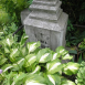 Photo showing Tombstone of Anna Bobnis