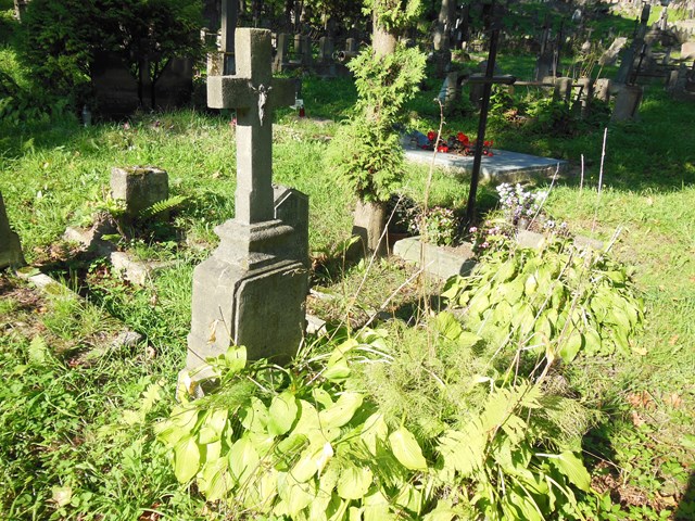 Tombstone of Edward and Jozef Niewiadomski, Ross cemetery in Vilnius, as of 2014.