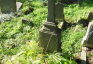 Photo showing Tombstone of Edward and Józef Niewiadomski