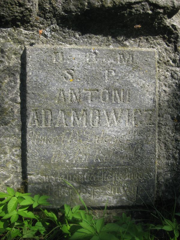 Inskrypcja nagrobka Antoniego Adamowicza, cmentarz Na Rossie w Wilnie, stan z 2013