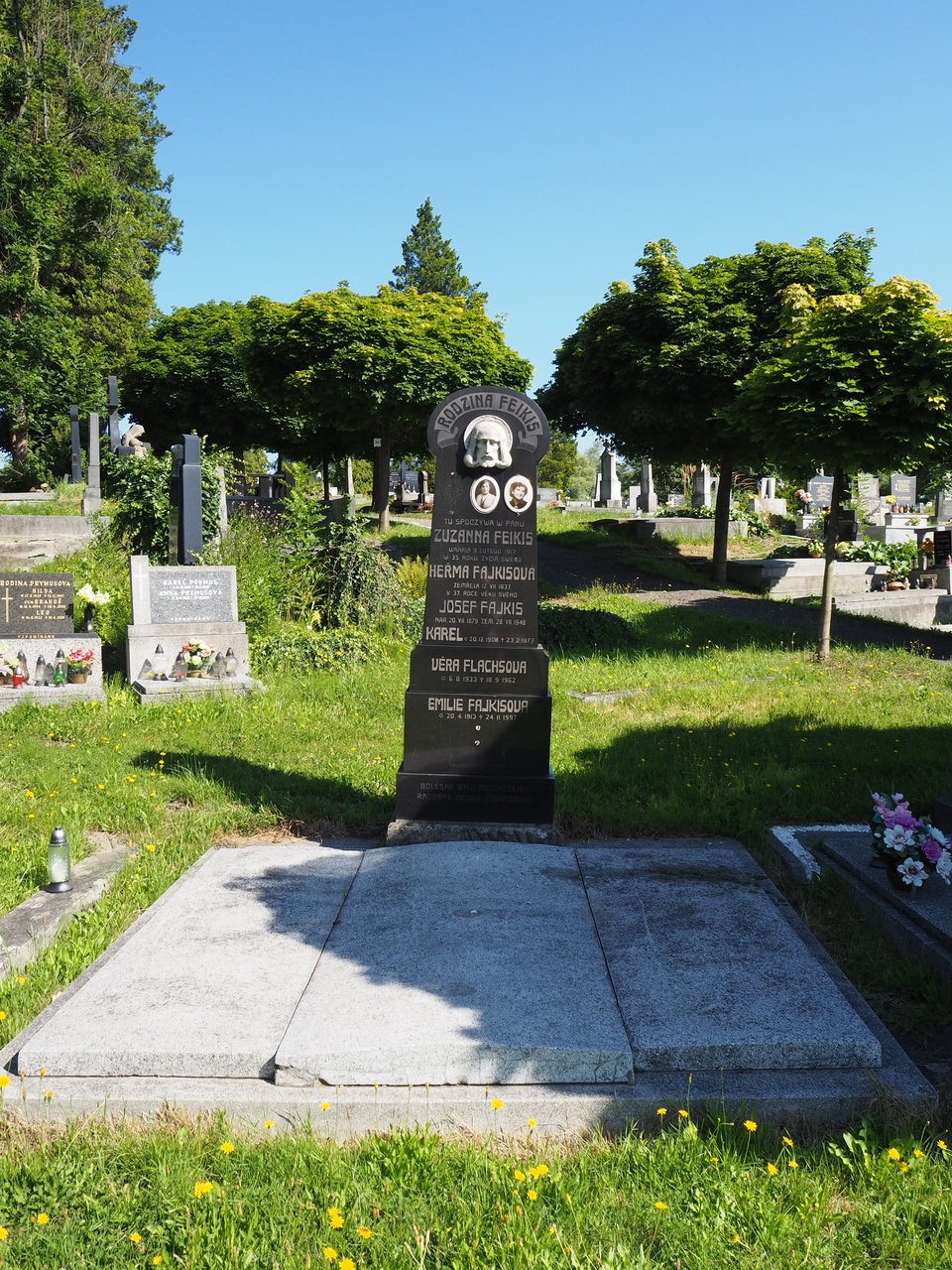 Grobowiec rodziny Feikis, cmentarz w Karwinie Doły, stan z 2022 roku