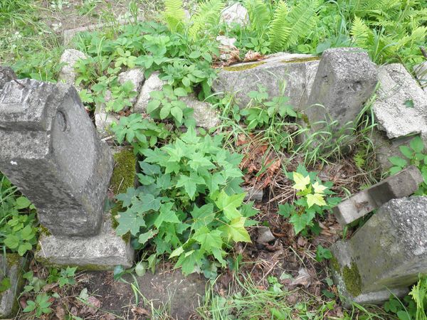 Nagrobek Jerzego Debkowskiego, cmentarz na Rossie w Wilnie, stan na 2013 r.