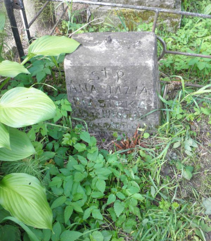 Nagrobek Anastazji Piaseckiej, cmentarz na Rossie w Wilnie, stan na 2013 r.