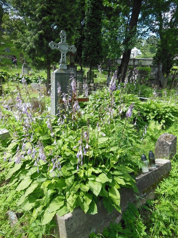 Tombstone of the Anuszkiewicz family, Ross cemetery in Vilnius, as of 2013.